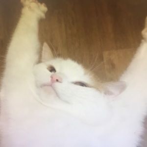 Meet your Posher, Walter